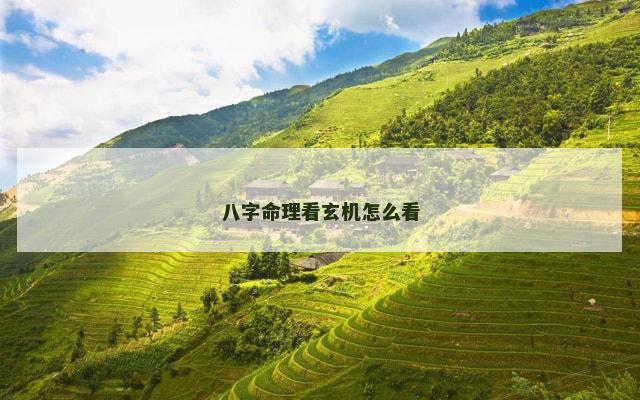 八字命理看玄机怎么看