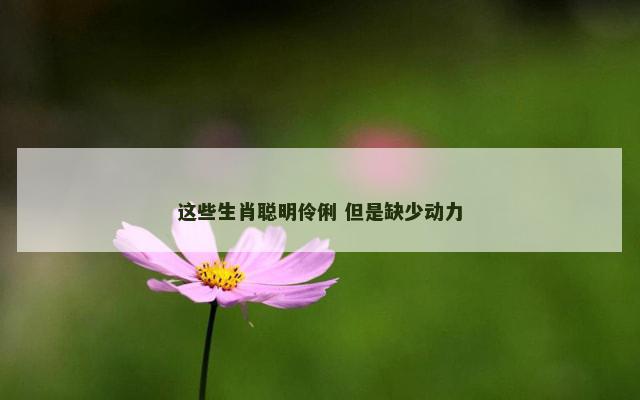 这些生肖聪明伶俐 但是缺少动力