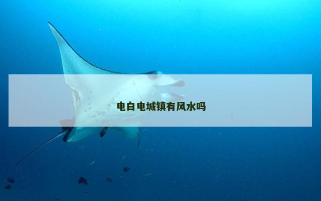 电白电城镇有风水吗