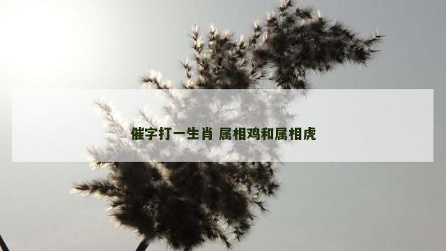 催字打一生肖 属相鸡和属相虎