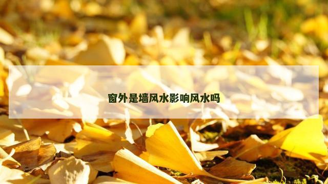 窗外是墙风水影响风水吗
