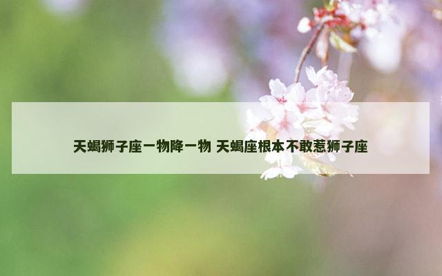 天蝎狮子座一物降一物 天蝎座根本不敢惹狮子座