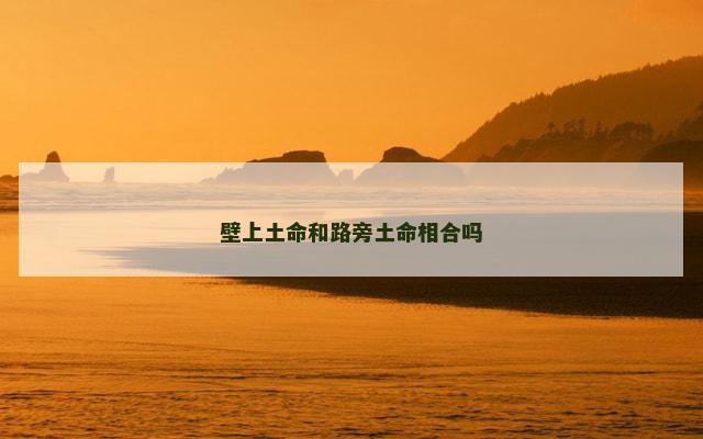 壁上土命和路旁土命相合吗