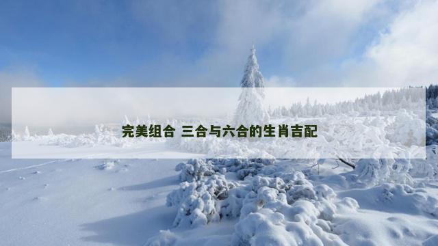 完美组合 三合与六合的生肖吉配