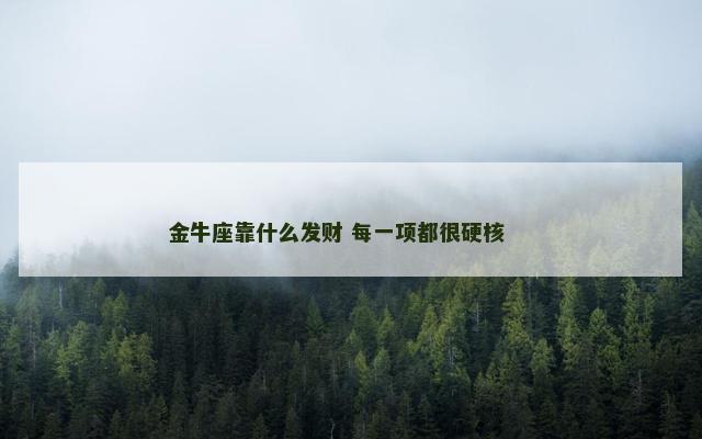 金牛座靠什么发财 每一项都很硬核 　　