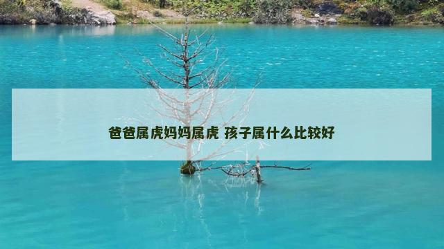 爸爸属虎妈妈属虎 孩子属什么比较好
