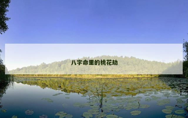 八字命里的桃花劫