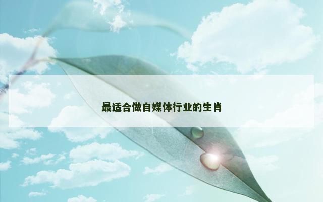 最适合做自媒体行业的生肖