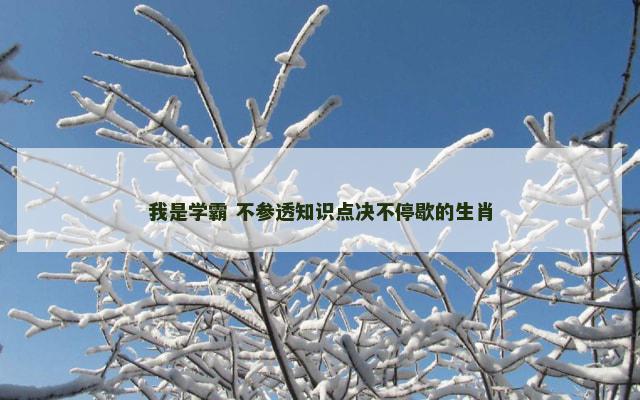 我是学霸 不参透知识点决不停歇的生肖