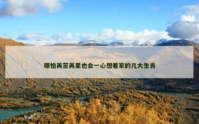 哪怕再苦再累也会一心想着家的几大生肖