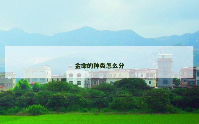 金命的种类怎么分