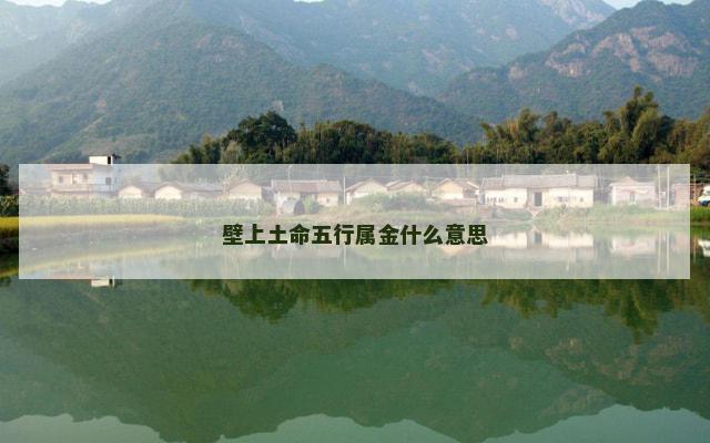 壁上土命五行属金什么意思