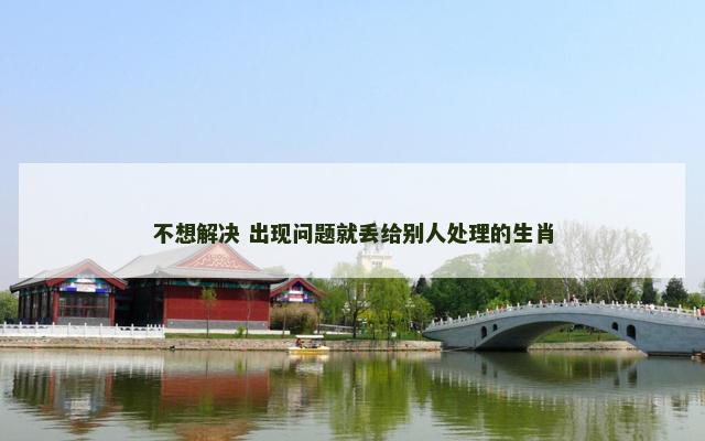 不想解决 出现问题就丢给别人处理的生肖