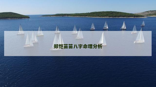 郑恺苗苗八字命理分析
