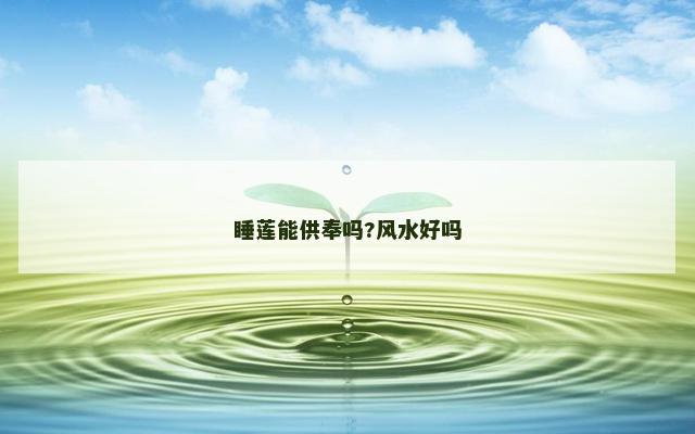 睡莲能供奉吗?风水好吗