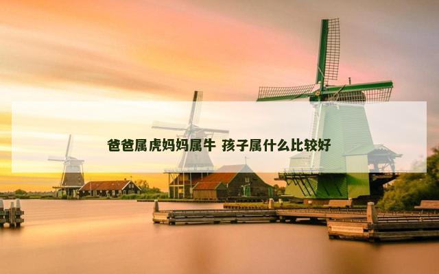 爸爸属虎妈妈属牛 孩子属什么比较好