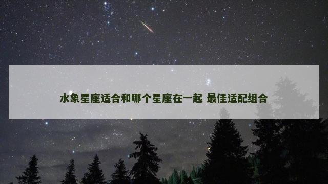 水象星座适合和哪个星座在一起 最佳适配组合