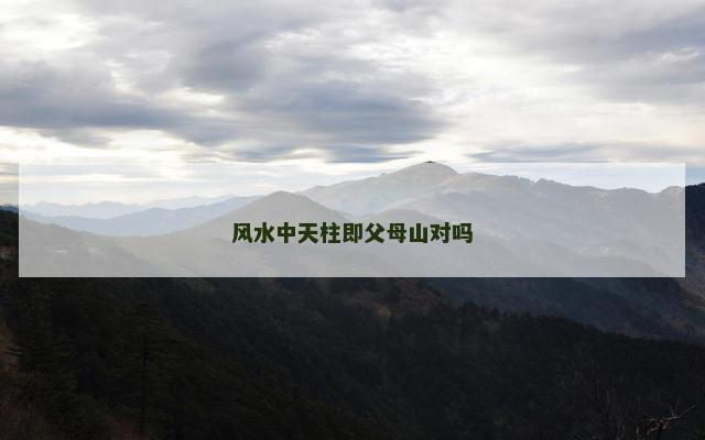 风水中天柱即父母山对吗
