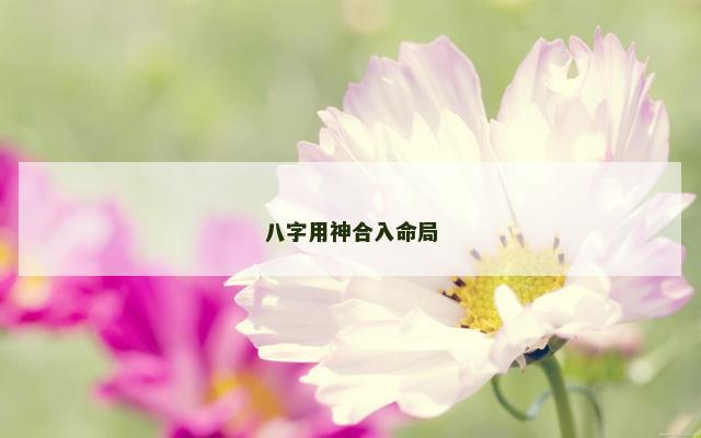 八字用神合入命局