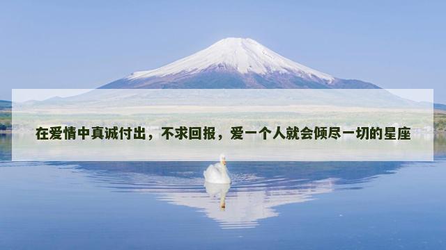 在爱情中真诚付出，不求回报，爱一个人就会倾尽一切的星座