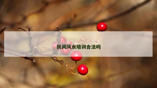 民间风水培训合法吗