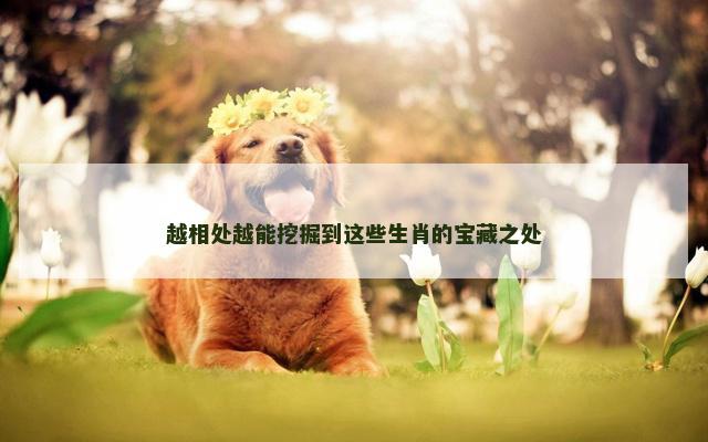 越相处越能挖掘到这些生肖的宝藏之处