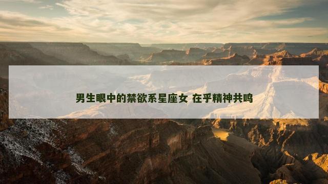 男生眼中的禁欲系星座女 在乎精神共鸣