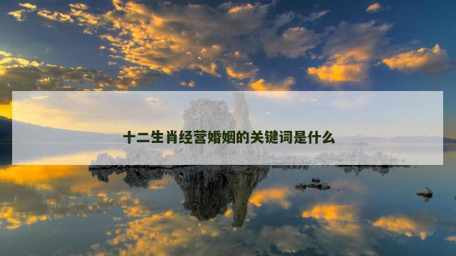 十二生肖经营婚姻的关键词是什么