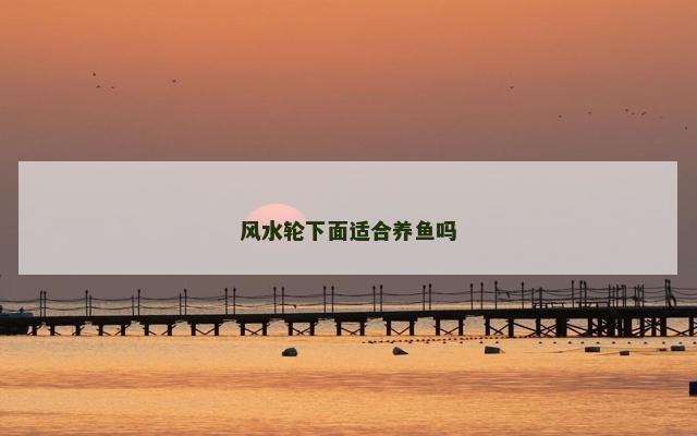 风水轮下面适合养鱼吗