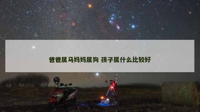 爸爸属马妈妈属狗 孩子属什么比较好