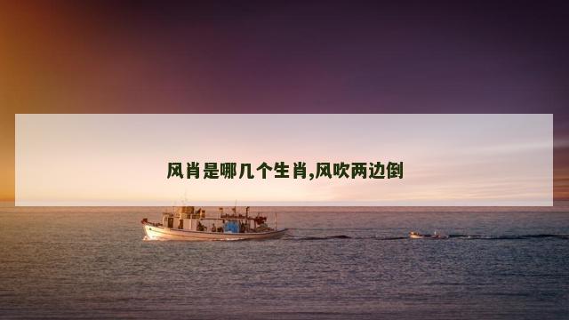 风肖是哪几个生肖,风吹两边倒