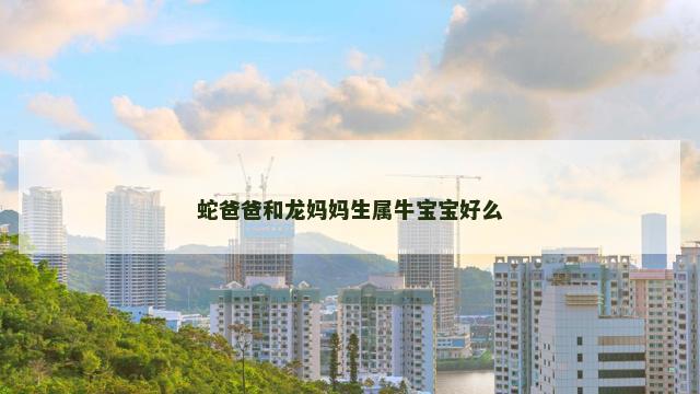 蛇爸爸和龙妈妈生属牛宝宝好么