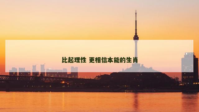 比起理性 更相信本能的生肖