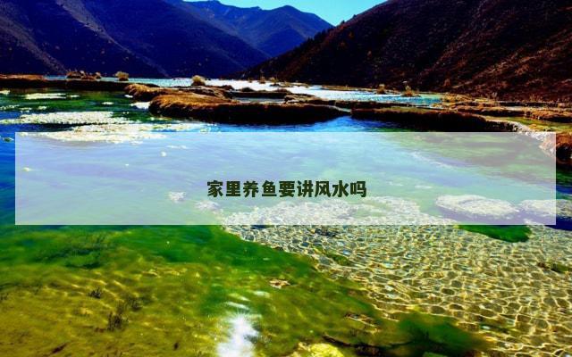 家里养鱼要讲风水吗