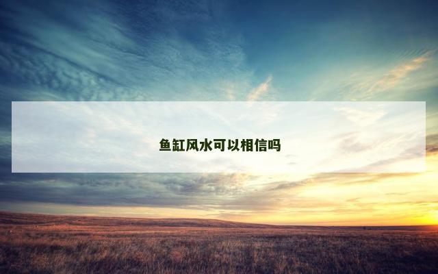 鱼缸风水可以相信吗