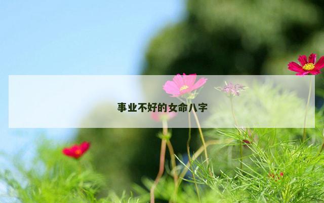 事业不好的女命八字
