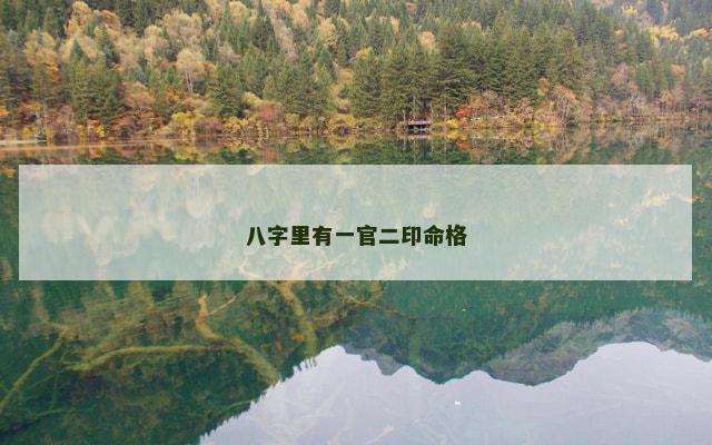 八字里有一官二印命格