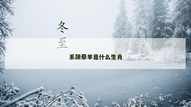 系颈牵羊是什么生肖