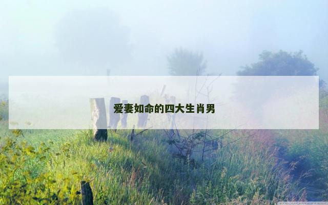 爱妻如命的四大生肖男