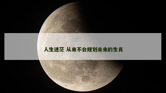 人生迷茫 从来不会规划未来的生肖