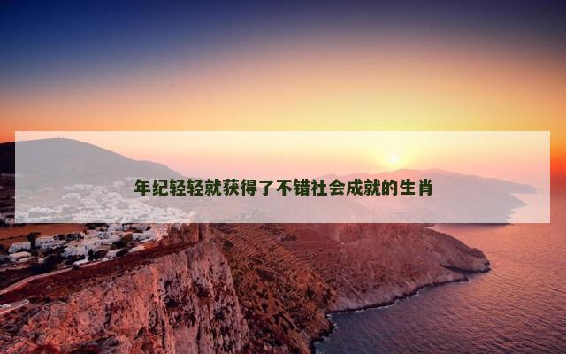 年纪轻轻就获得了不错社会成就的生肖