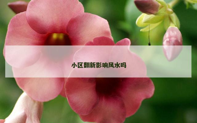 小区翻新影响风水吗