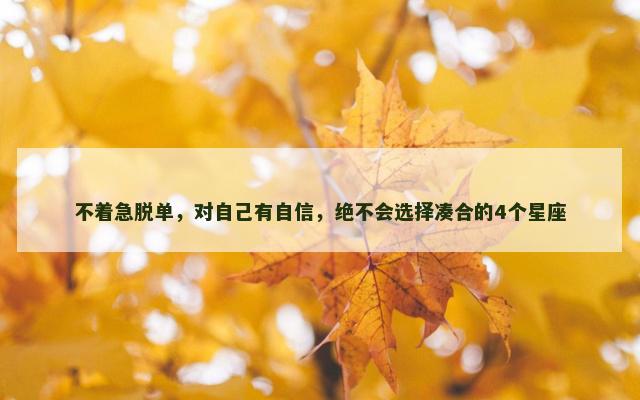 不着急脱单，对自己有自信，绝不会选择凑合的4个星座
