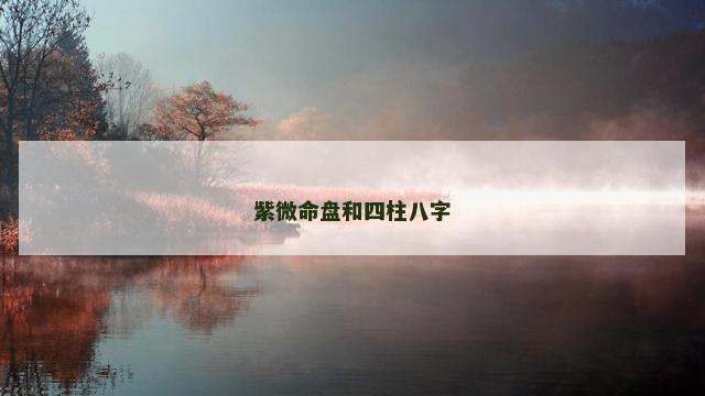 紫微命盘和四柱八字
