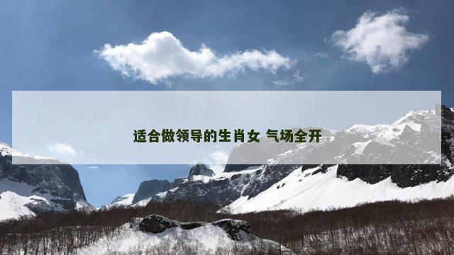 适合做领导的生肖女 气场全开