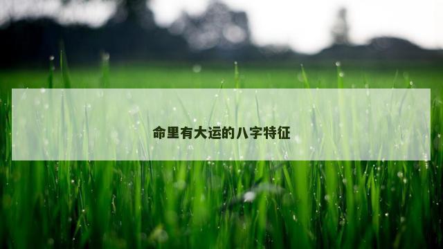 命里有大运的八字特征