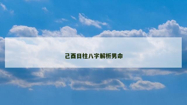 己酉日柱八字解析男命