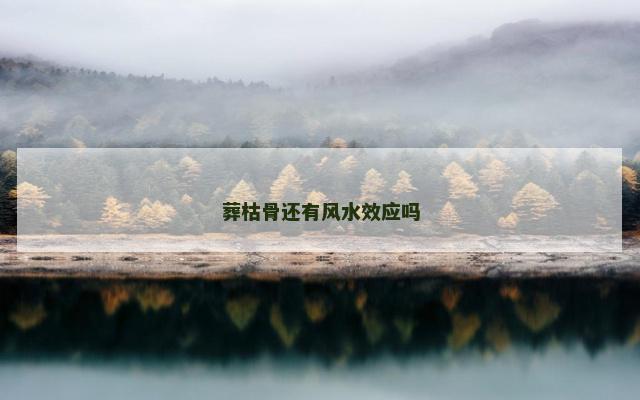 葬枯骨还有风水效应吗