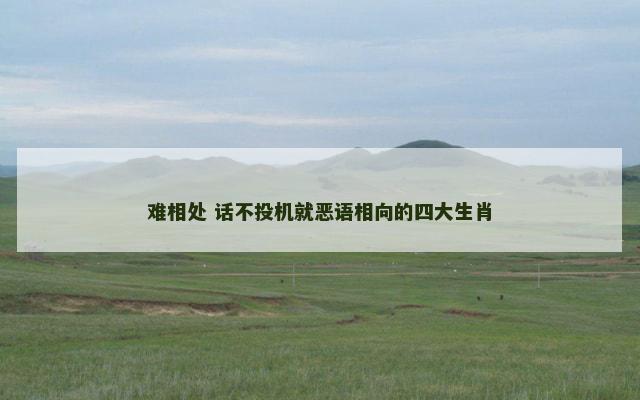 难相处 话不投机就恶语相向的四大生肖