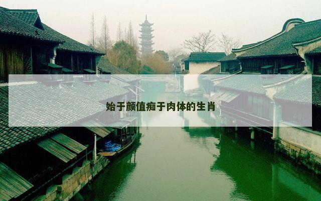 始于颜值痴于肉体的生肖